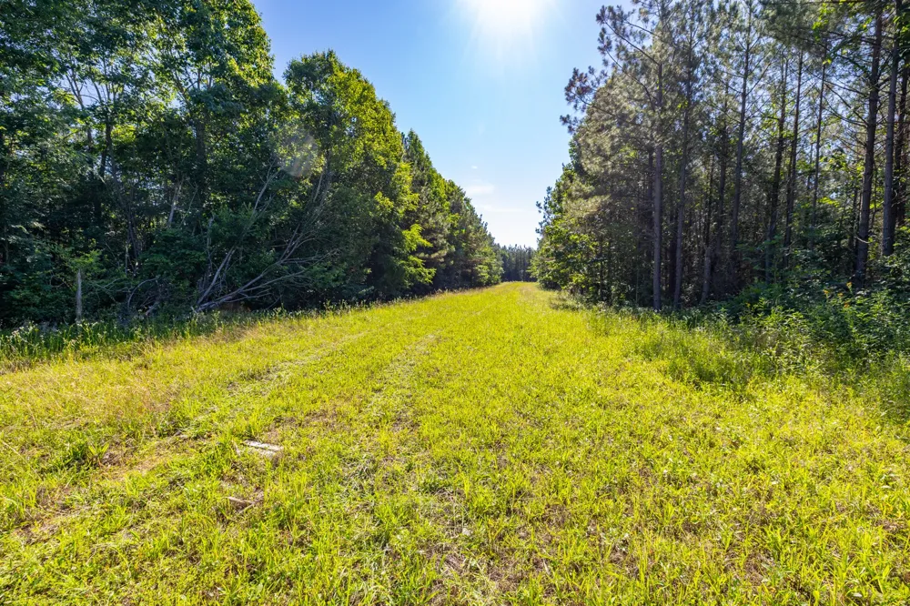 0 White Oak Rd Stewart, TN 37175