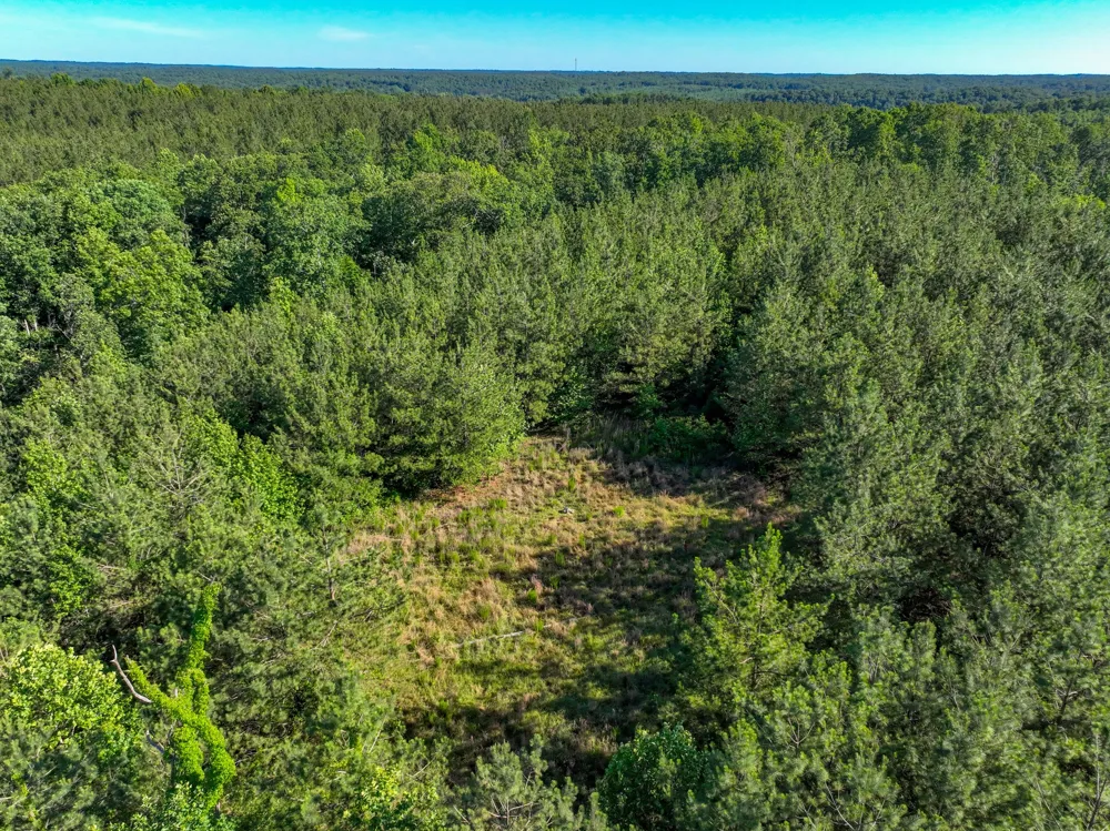0 White Oak Rd Stewart, TN 37175