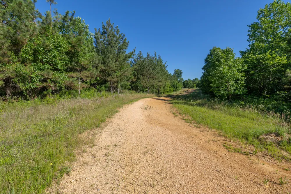 0 White Oak Rd Stewart, TN 37175