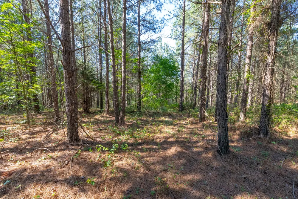 0 White Oak Rd Stewart, TN 37175