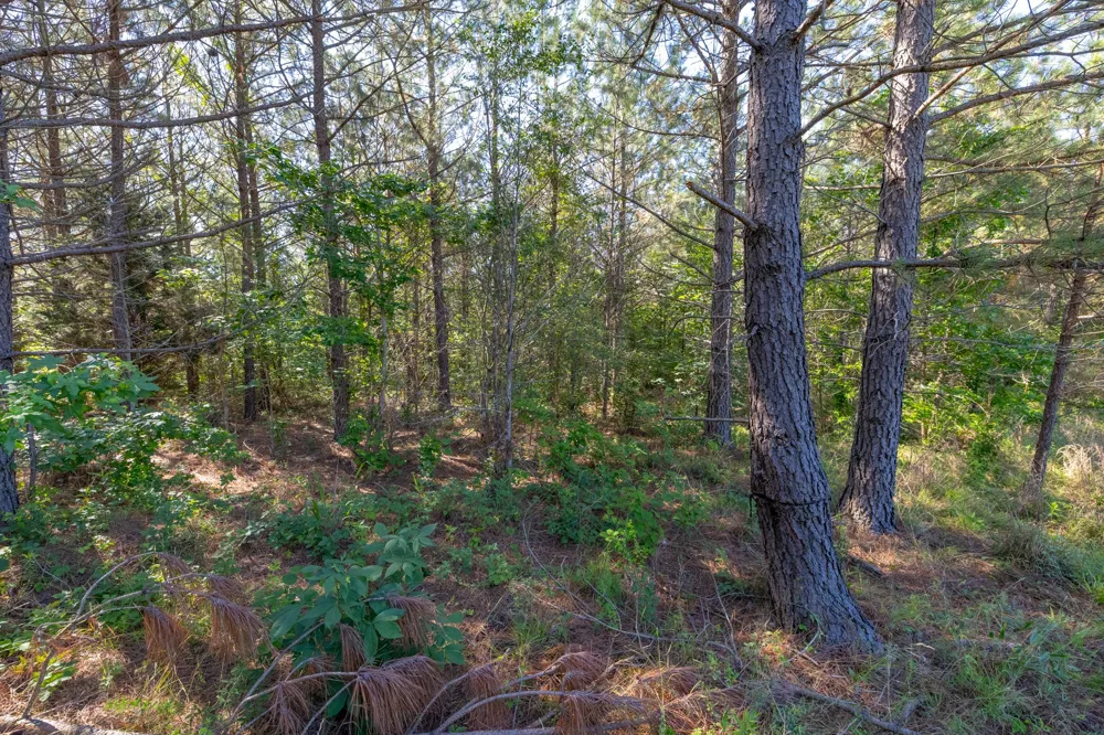 0 White Oak Rd Stewart, TN 37175