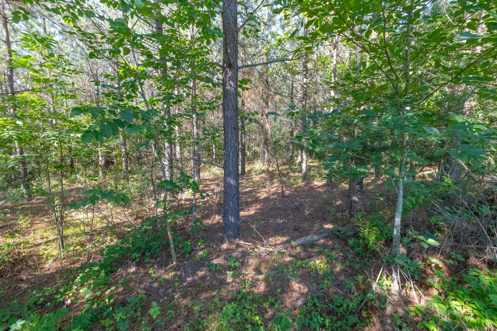 0 White Oak Rd Stewart, TN 37175