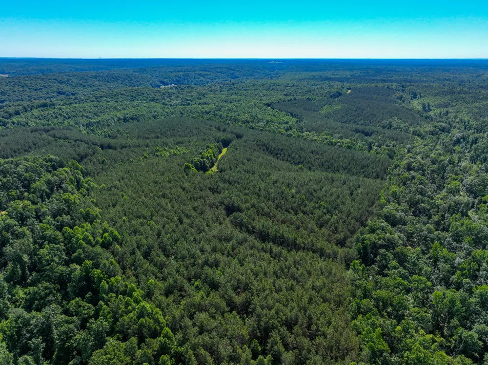 0 White Oak Rd Stewart, TN 37175