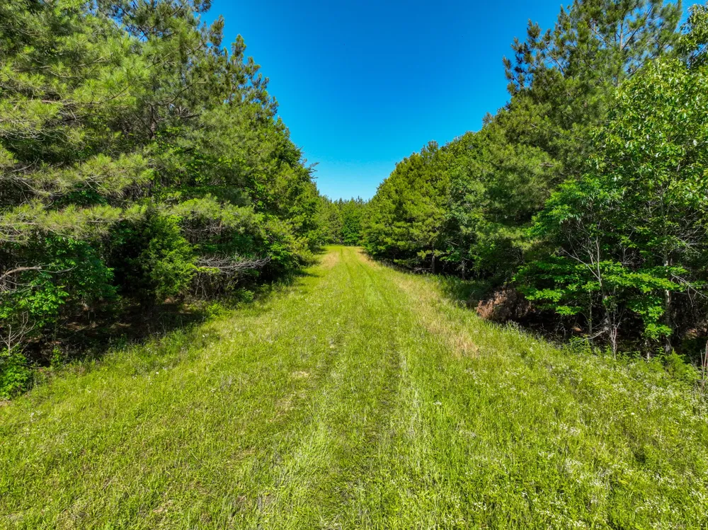 0 White Oak Rd Stewart, TN 37175