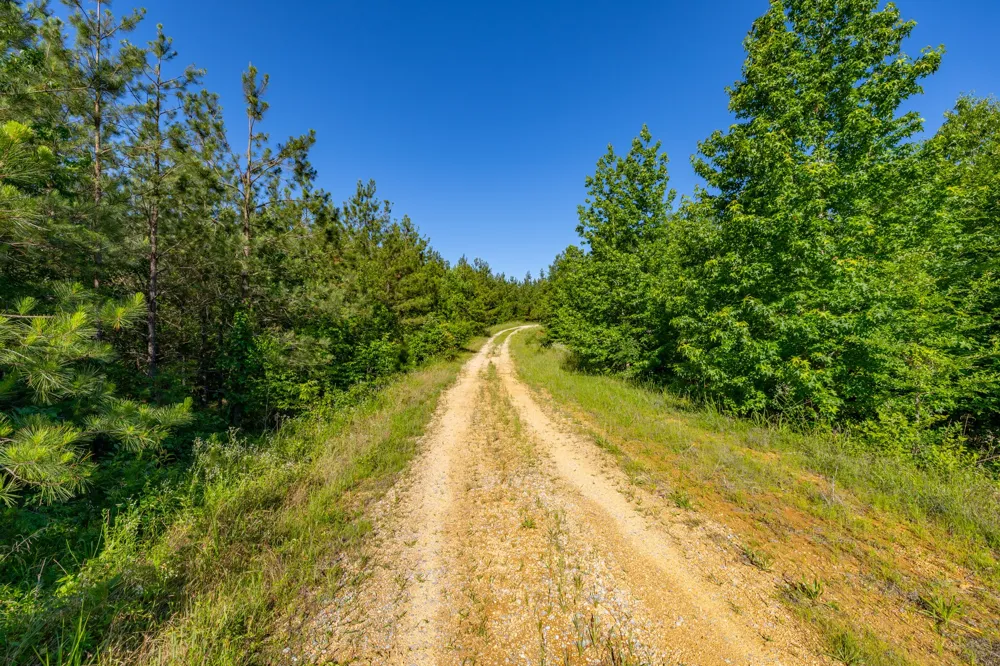 0 White Oak Rd Stewart, TN 37175