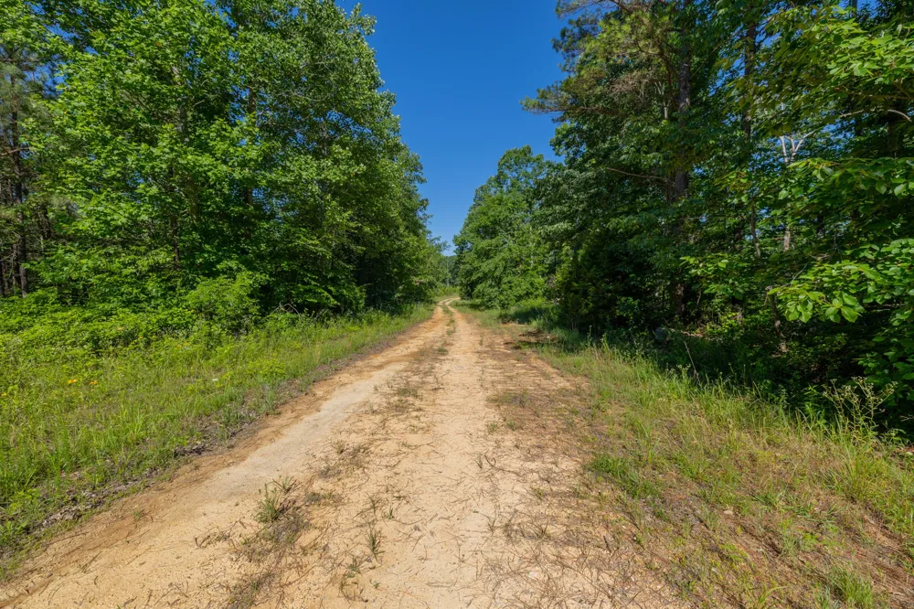 0 White Oak Rd Stewart, TN 37175