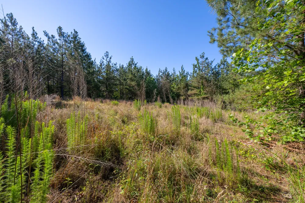 0 White Oak Rd Stewart, TN 37175