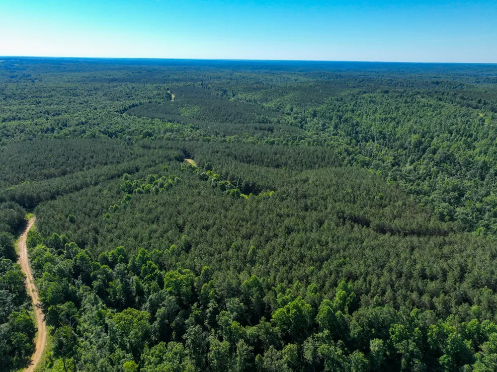 0 White Oak Rd Stewart, TN 37175