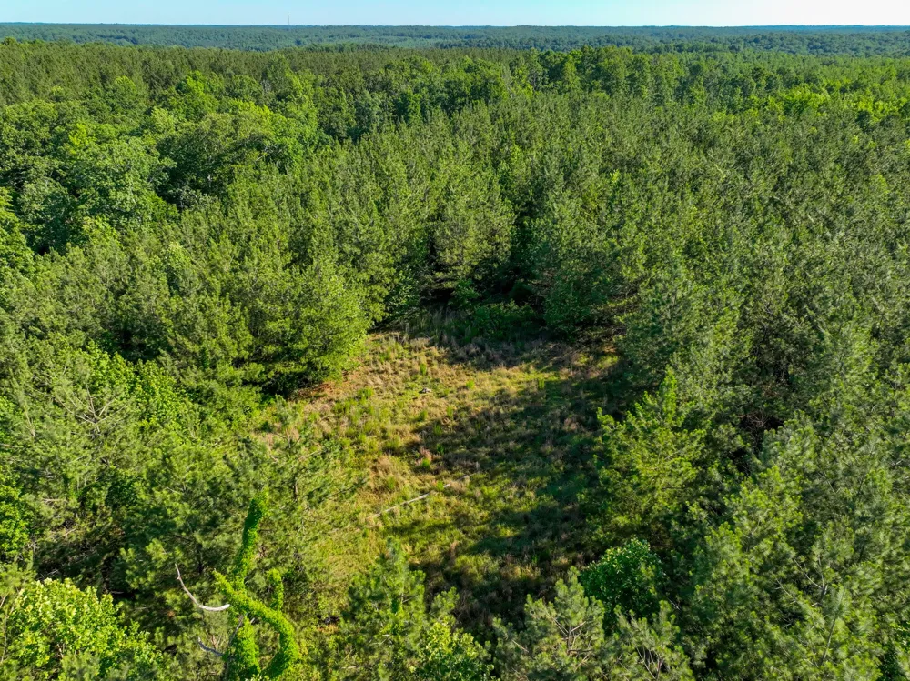 0 White Oak Rd Stewart, TN 37175