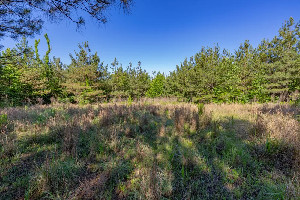0 White Oak Rd Stewart, TN 37175