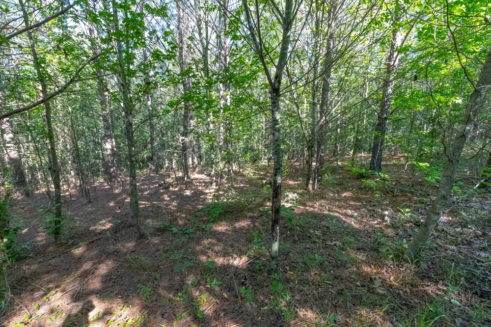 0 White Oak Rd Stewart, TN 37175