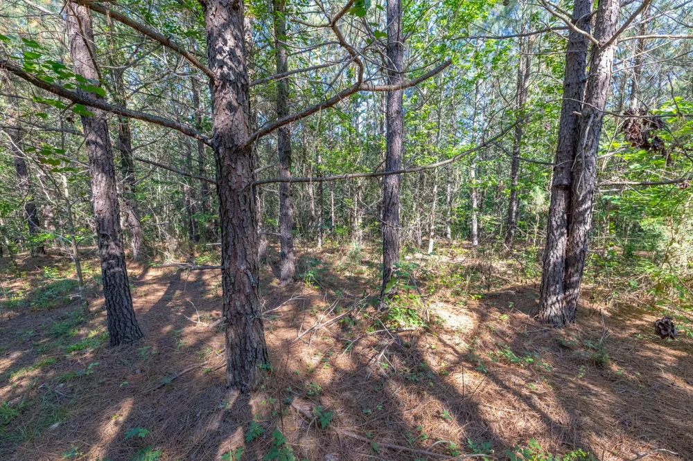 0 White Oak Rd Stewart, TN 37175