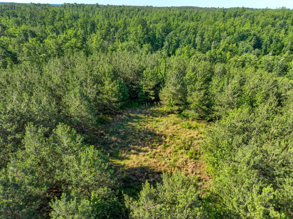 0 White Oak Rd Stewart, TN 37175