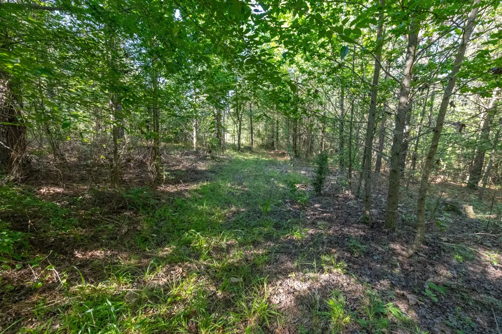 0 White Oak Rd Stewart, TN 37175