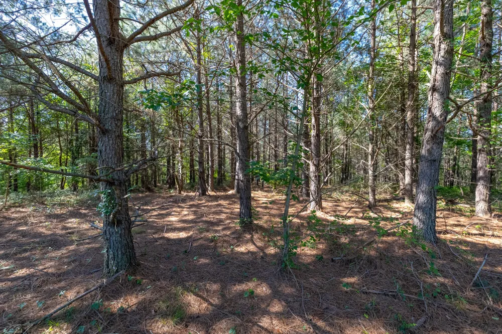0 White Oak Rd Stewart, TN 37175