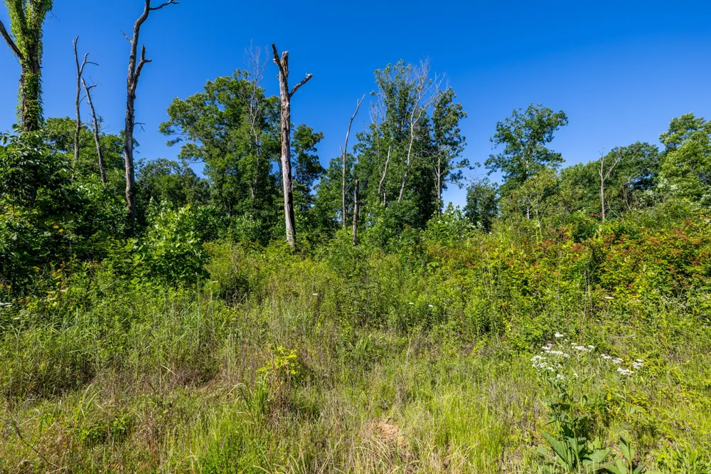 0 White Oak Rd Stewart, TN 37175