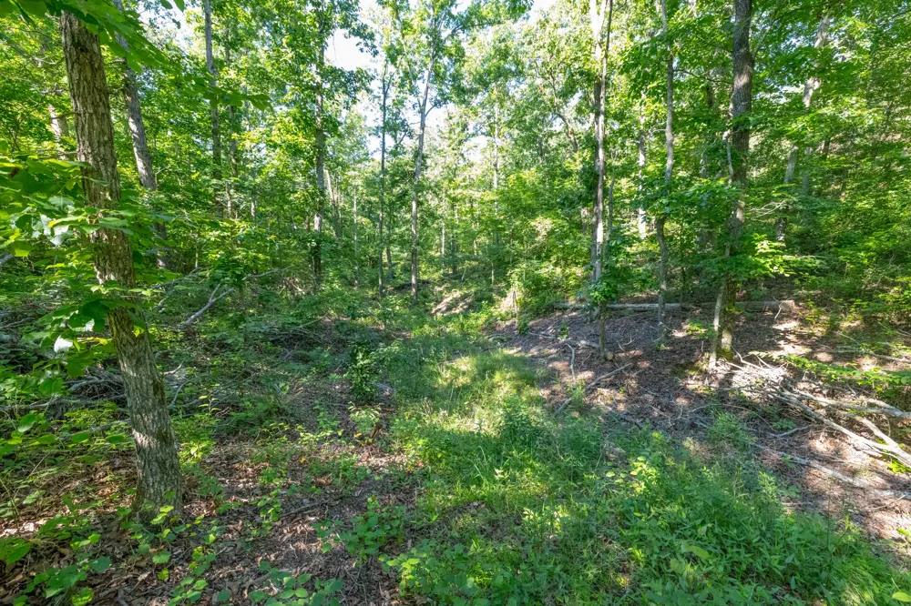 0 White Oak Rd Stewart, TN 37175