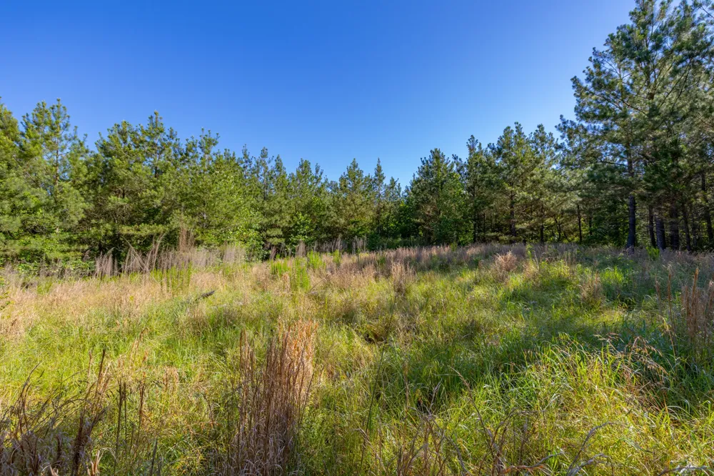 0 White Oak Rd Stewart, TN 37175