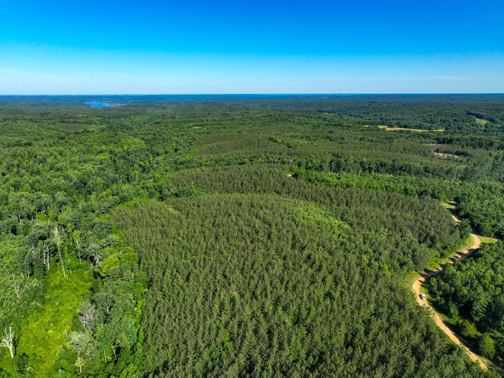 0 White Oak Rd Stewart, TN 37175