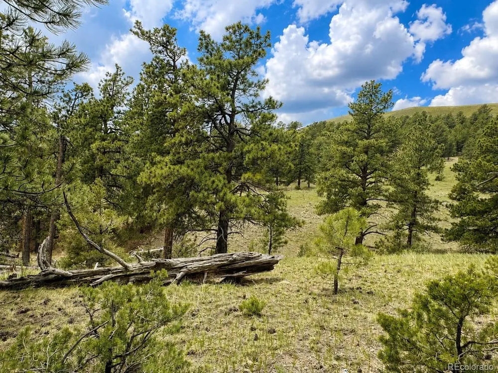 402 Brittany Lane Gardner, CO 81040