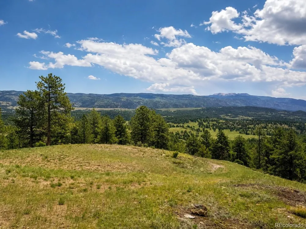 402 Brittany Lane Gardner, CO 81040