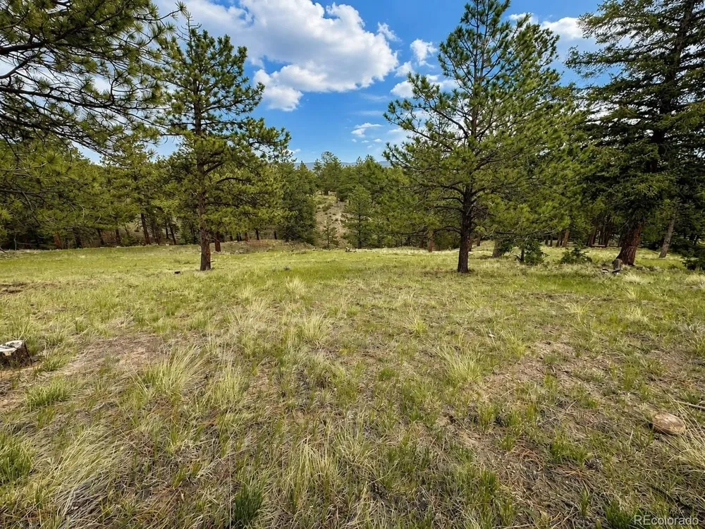 402 Brittany Lane Gardner, CO 81040