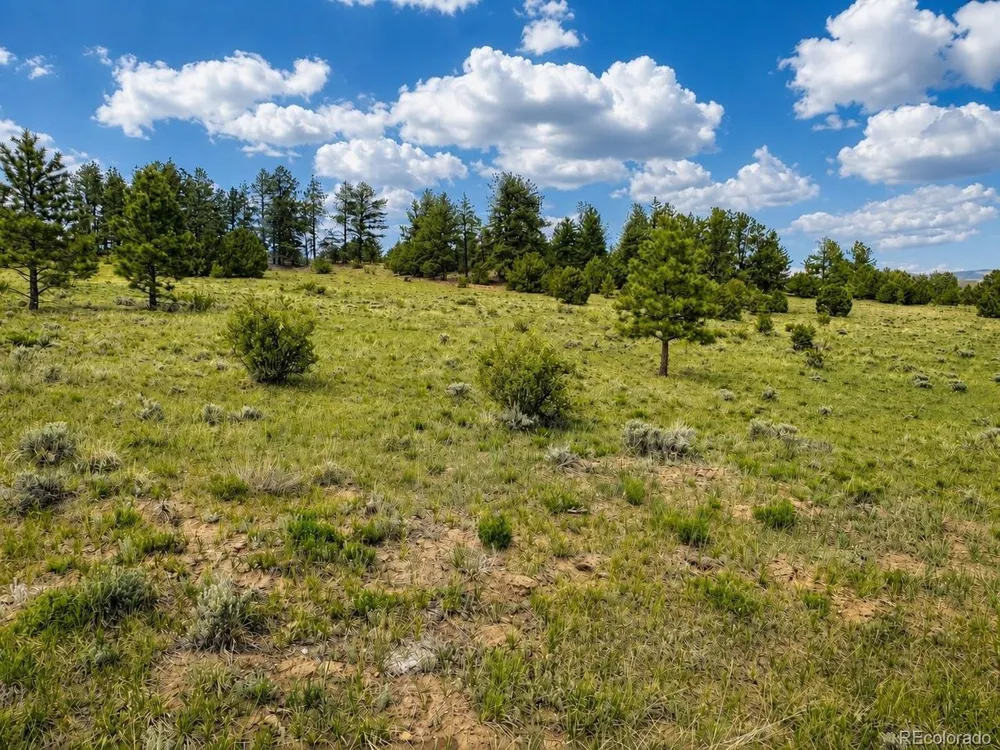 402 Brittany Lane Gardner, CO 81040