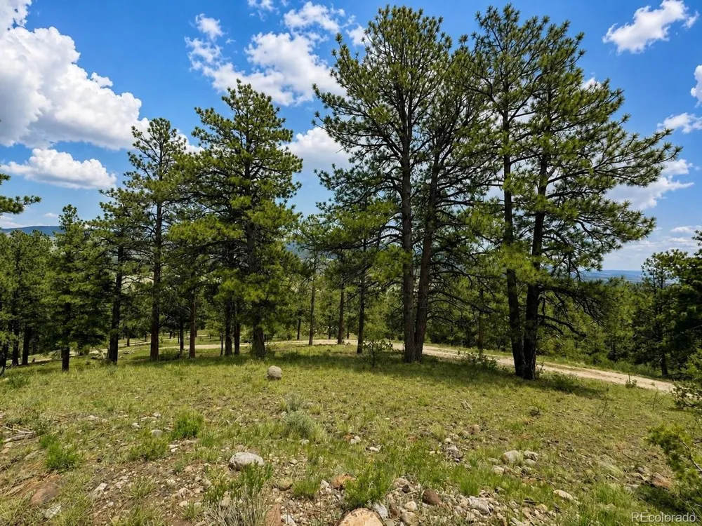 402 Brittany Lane Gardner, CO 81040
