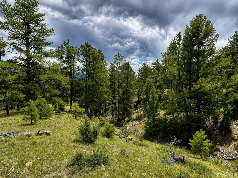 402 Brittany Lane Gardner, CO 81040