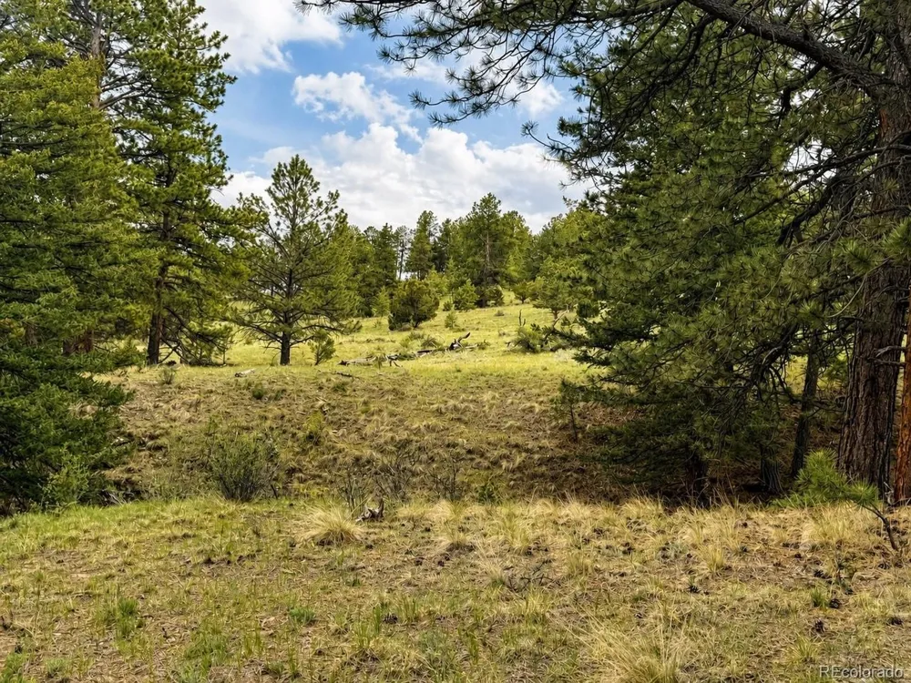 402 Brittany Lane Gardner, CO 81040
