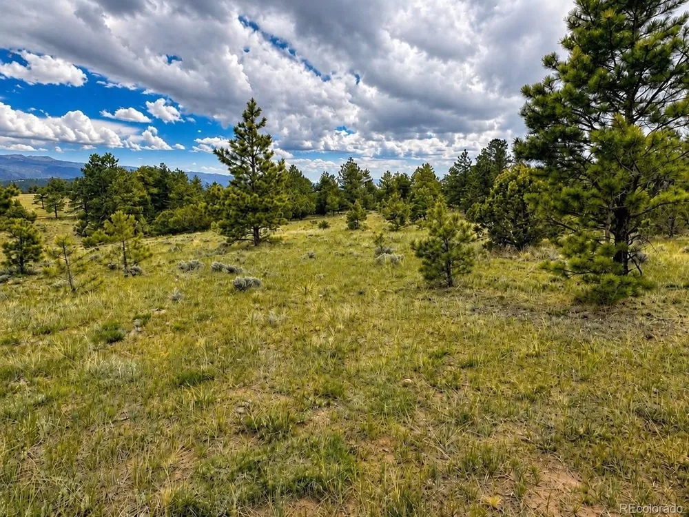 402 Brittany Lane Gardner, CO 81040