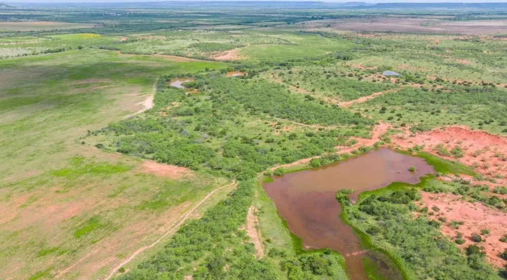 CR 205 Ovalo, TX 79541