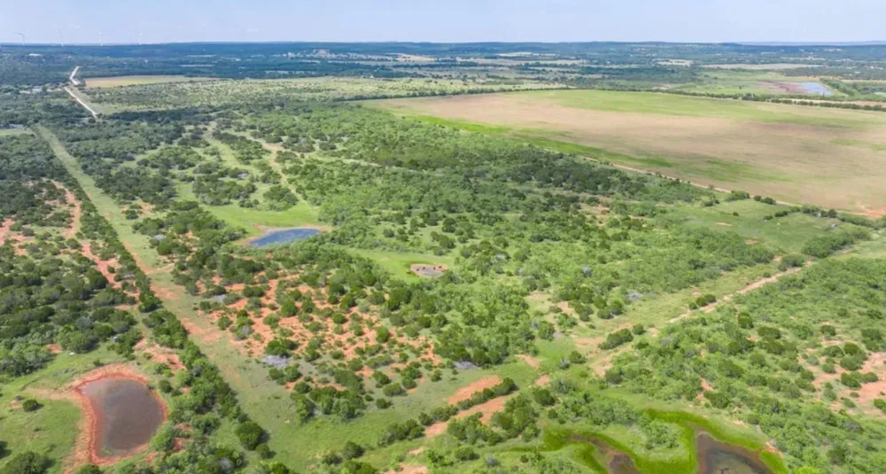 CR 205 Ovalo, TX 79541