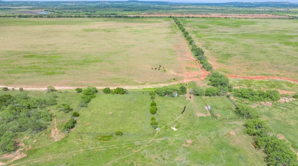 CR 205 Ovalo, TX 79541
