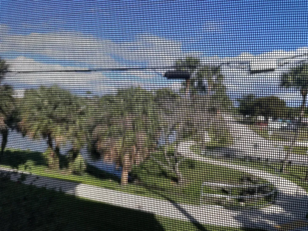 225 Bonnie Boulevard #211 Palm Springs, FL 33461