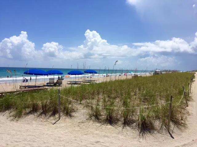 3492 NE Causeway Boulevard #103 Jensen Beach, FL 34957