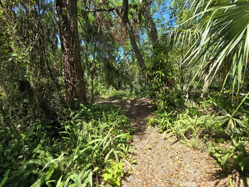 144 Elm Street Fellsmere, FL 32948