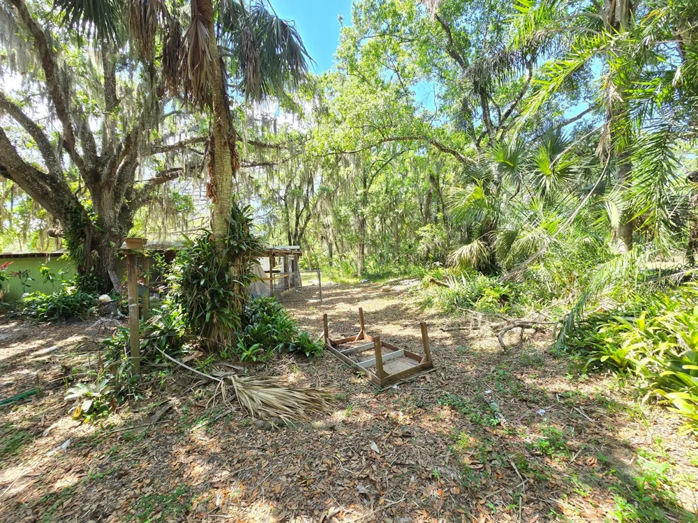 144 Elm Street Fellsmere, FL 32948