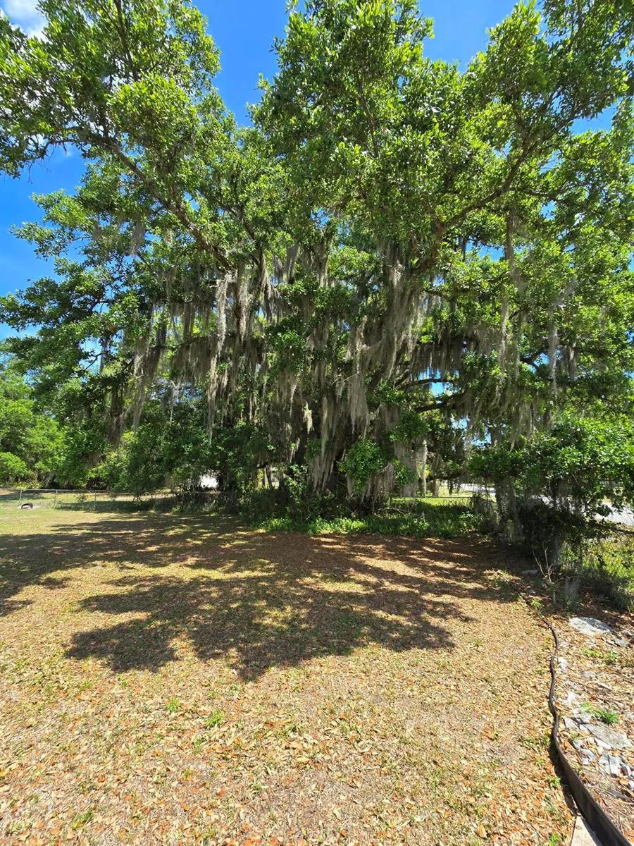 144 Elm Street Fellsmere, FL 32948