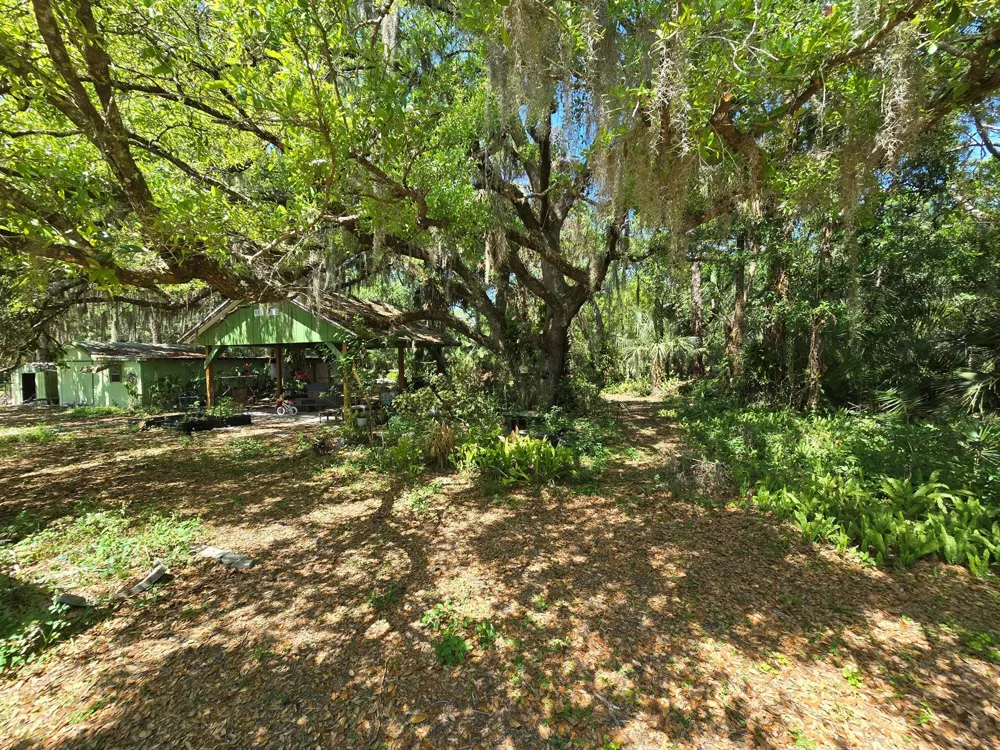 144 Elm Street Fellsmere, FL 32948