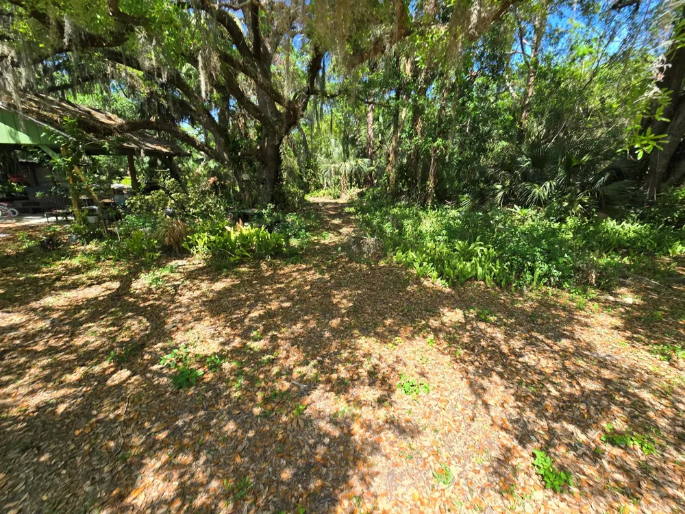 144 Elm Street Fellsmere, FL 32948