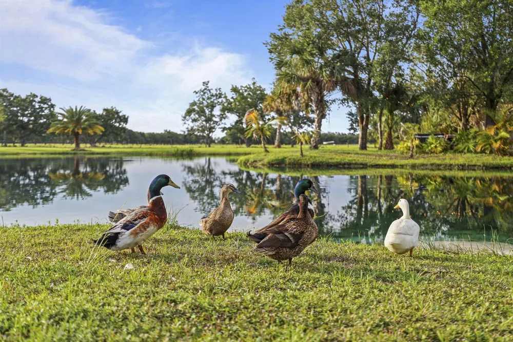 5250 21st Street SW Vero Beach, FL 32968