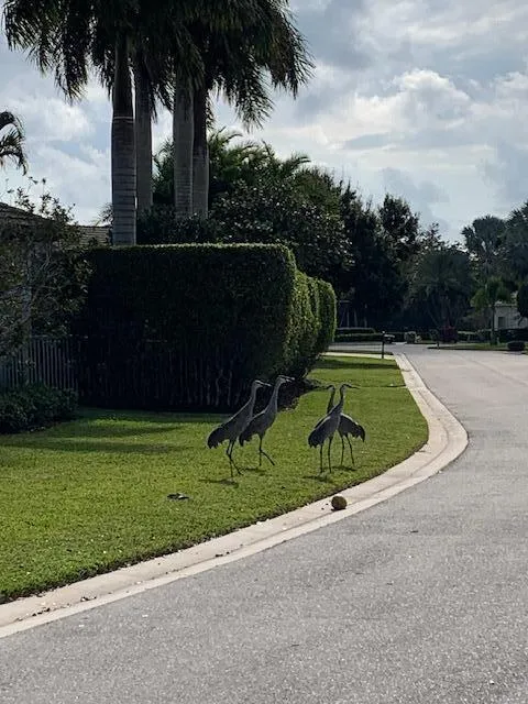 8216 Cypress Point Road West Palm Beach, FL 33412