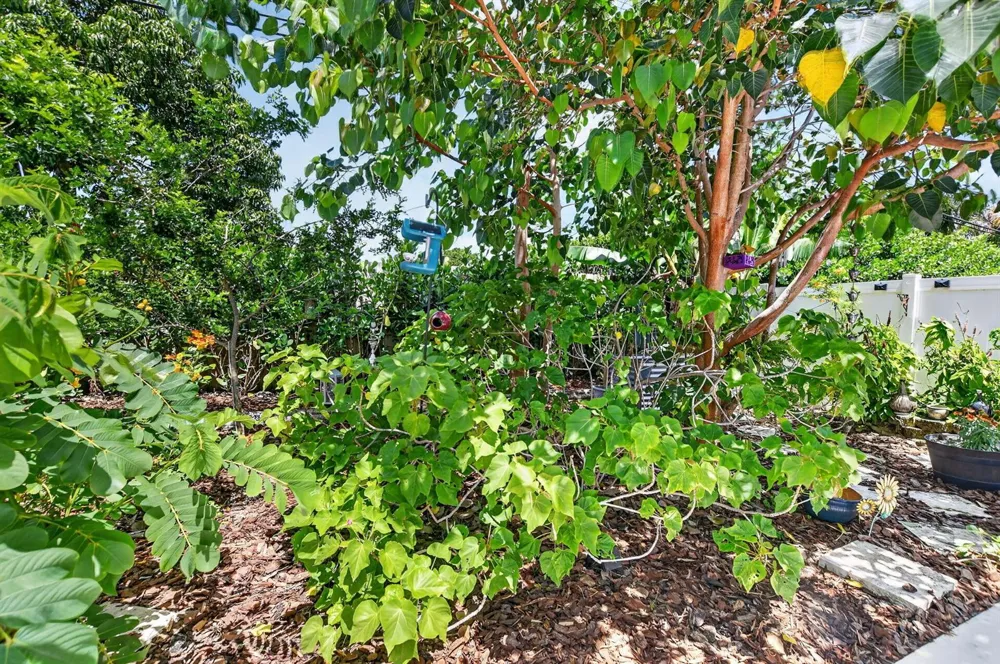 1207 SW 12th Avenue Boca Raton, FL 33486