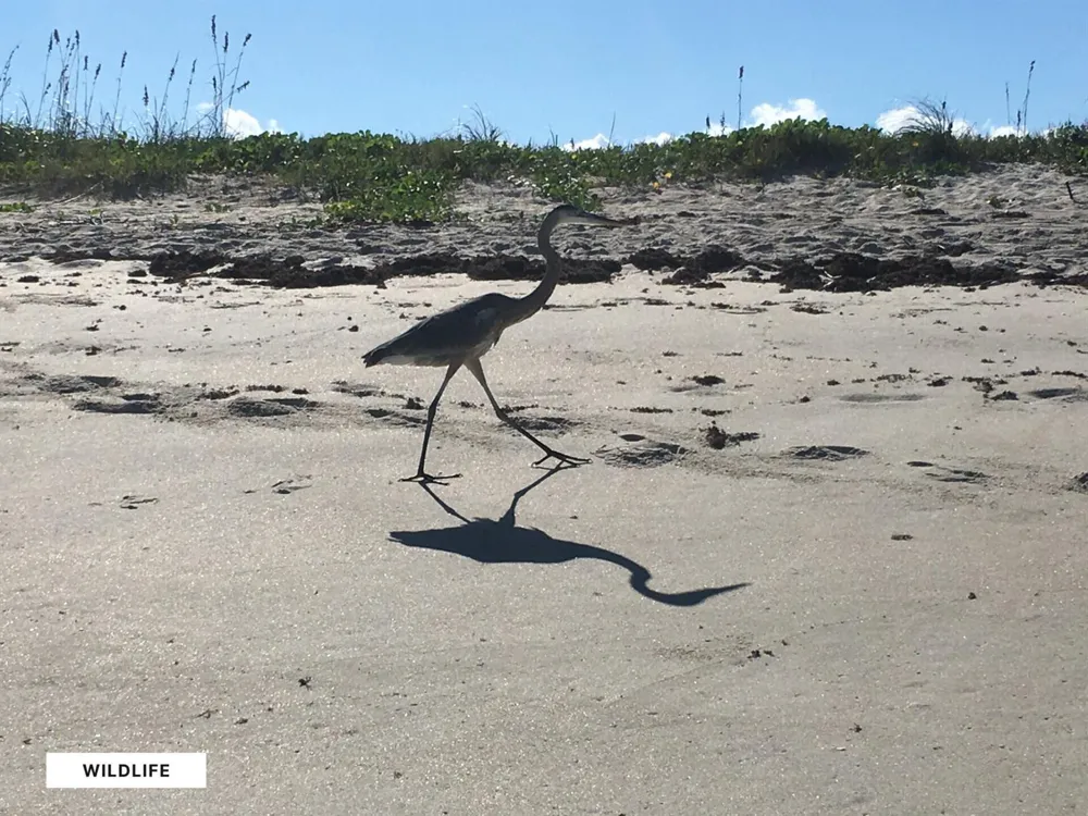 4221 Highway A1a Fort Pierce, FL 34949