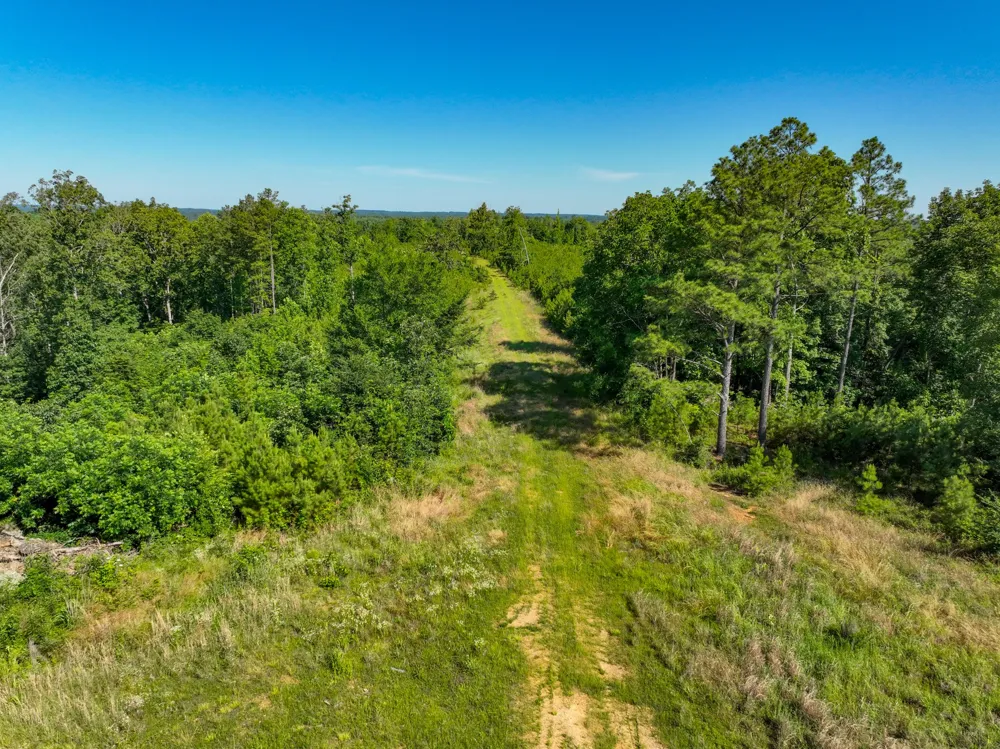 0 White Oak Rd Stewart, TN 37175