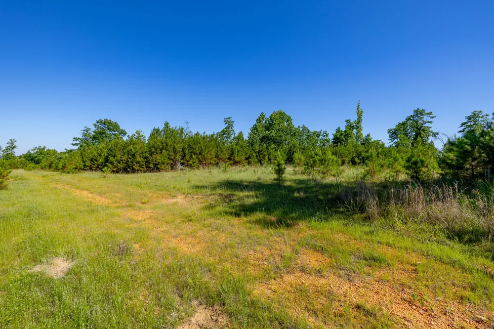 0 White Oak Rd Stewart, TN 37175