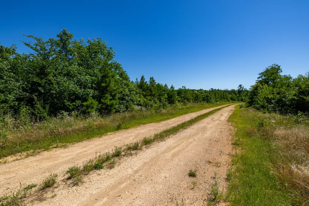 0 White Oak Rd Stewart, TN 37175