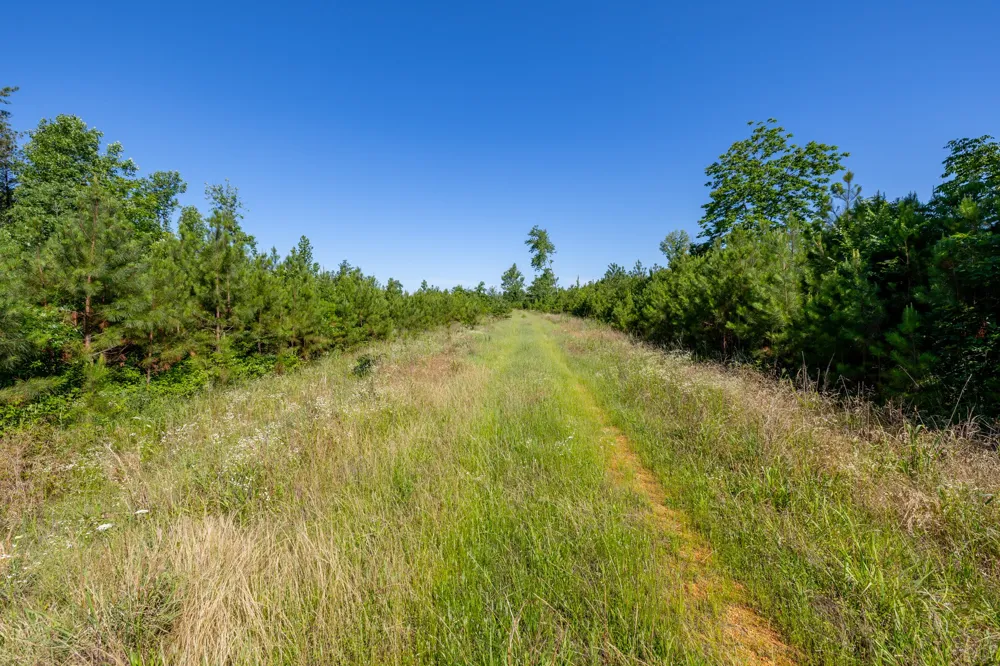 0 White Oak Rd Stewart, TN 37175