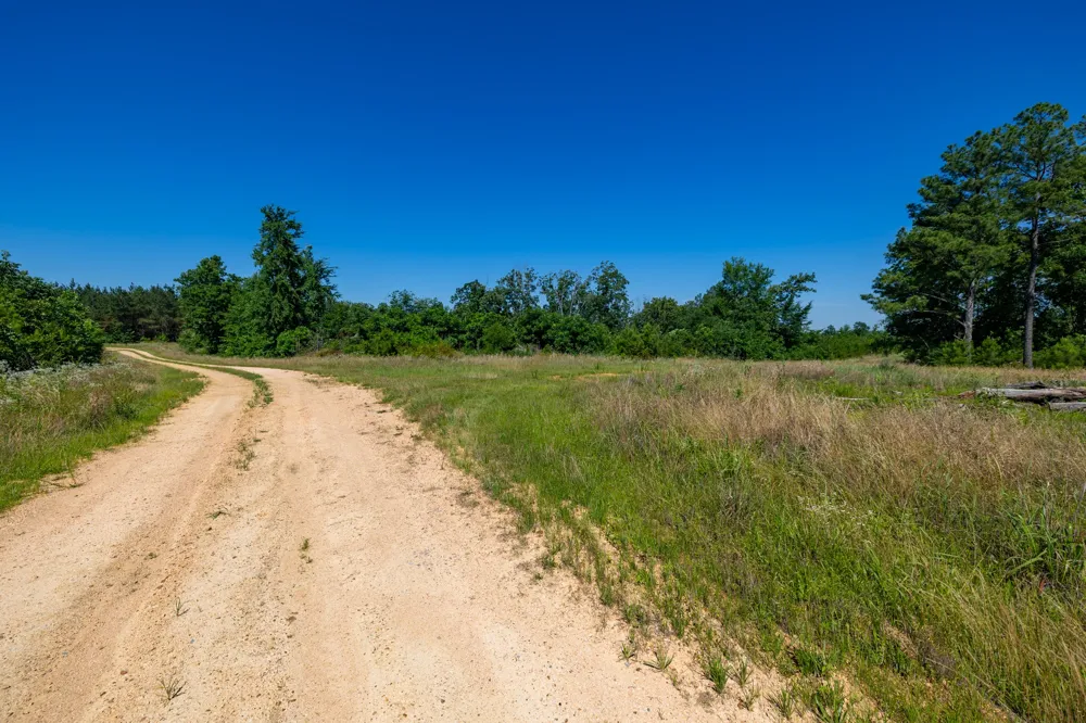 0 White Oak Rd Stewart, TN 37175